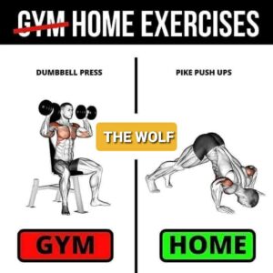 Gym Exercises vs Home Exercises (Shared by The Wolf Fitness)