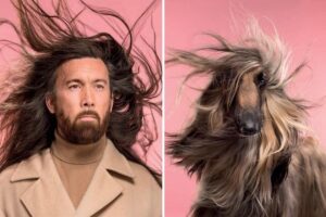 Photographer Puts Dogs And Their Owners Side By Side, And The Resemblance Is Uncanny