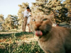 The Funniest Accidental Wedding Photobombs 🤣❤️