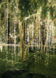 Amazing Garden Lighting Inspired by Creation