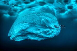 +++ 11 Stunning Photos Of What’s Hiding Under The Tip Of The Iceberg By Tobias Friedrich