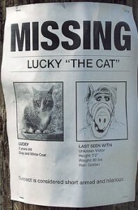 Hilarious Posters For Missing Cats