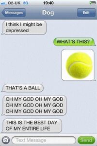 Dogs and Humans Texting LOL