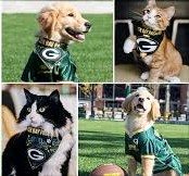 Best Packers Animals