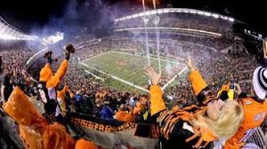 Best Bengals Fan Group