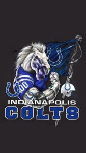 Best Colts Fan Group