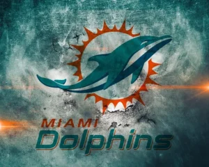 Best Dolphins Fan Group